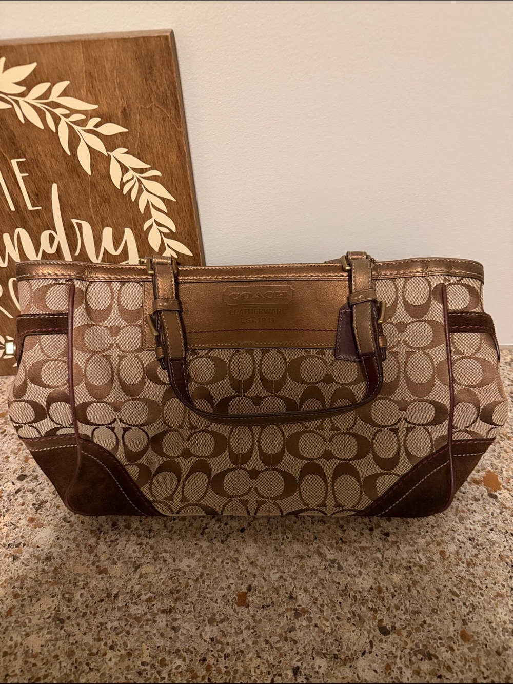 Coach Signature Canvas Tote in Beige and Brown